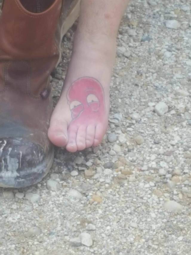 Daily Picdump