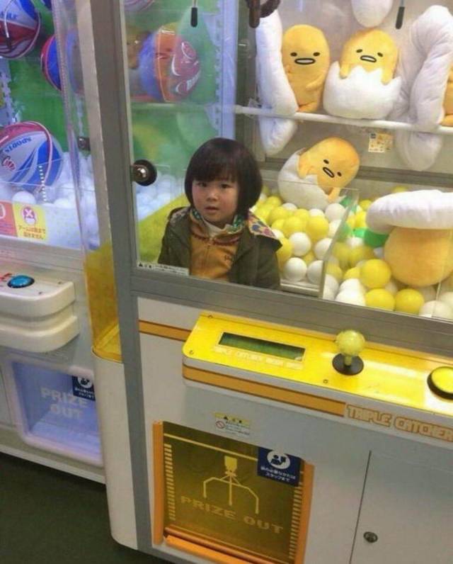 Daily Picdump