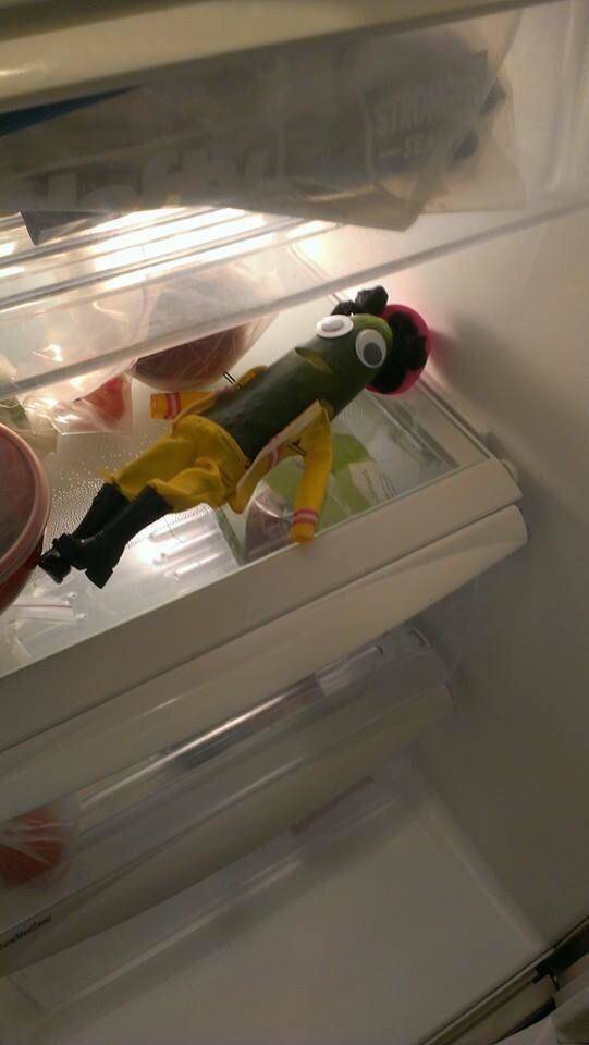 Morning Picdump