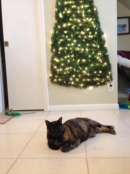 Pets Will Never Hurt Those Christmas Trees