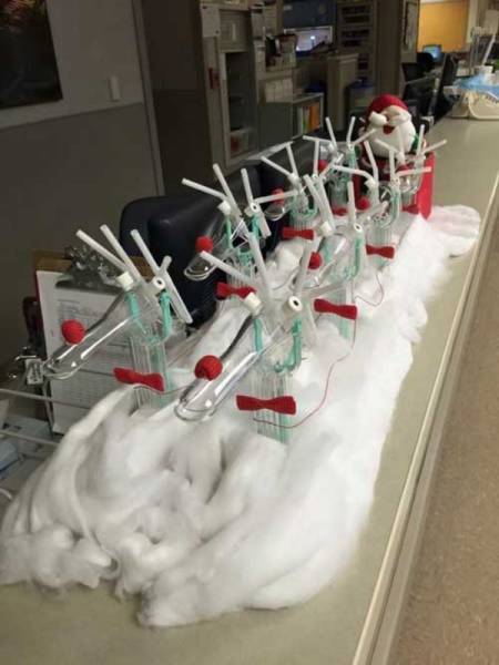 Hospitals Celebrate Christmas, Too!