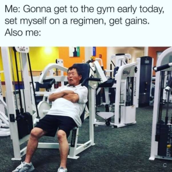 Fitness Is Hard. Memes Are Not