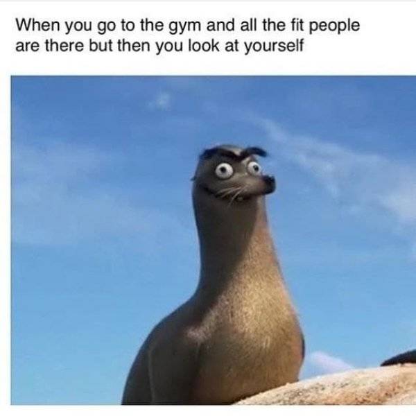 Fitness Is Hard. Memes Are Not