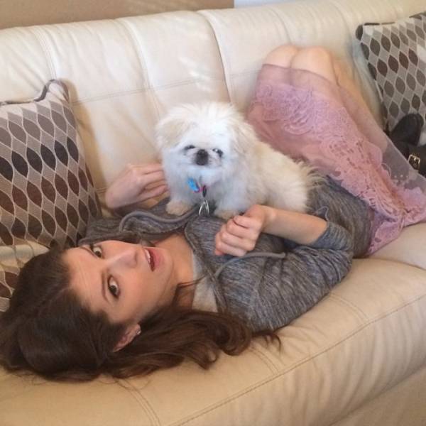 Both Humans And Animals Absolutely Love Anna Kendrick!