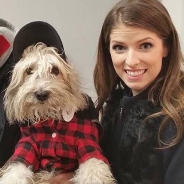 Both Humans And Animals Absolutely Love Anna Kendrick!