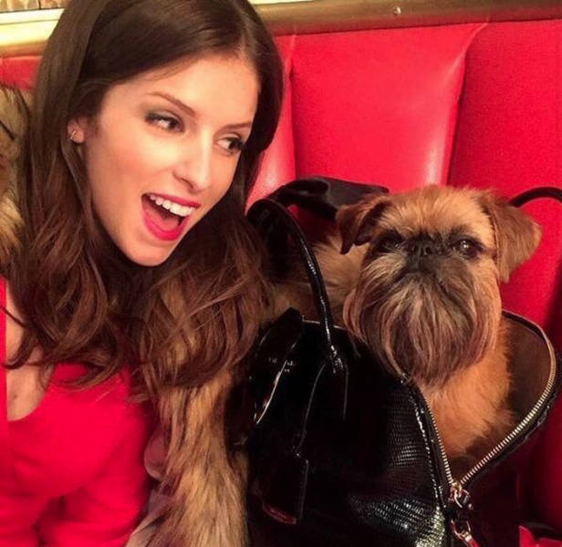 Both Humans And Animals Absolutely Love Anna Kendrick!