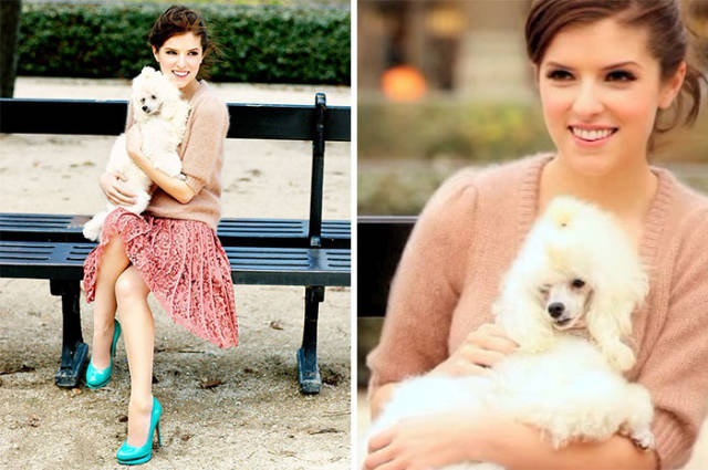 Both Humans And Animals Absolutely Love Anna Kendrick!