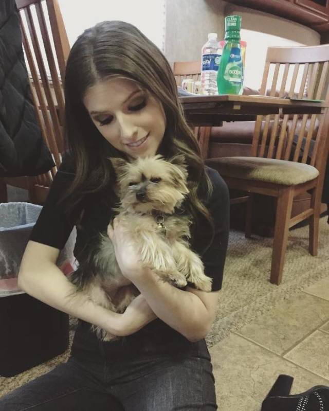 Both Humans And Animals Absolutely Love Anna Kendrick!