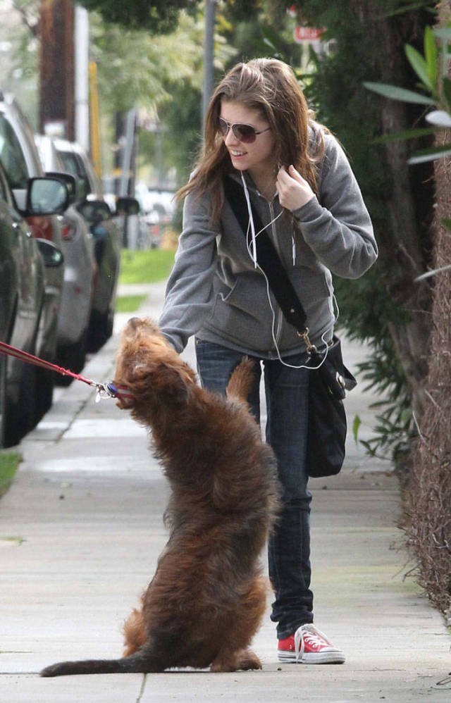 Both Humans And Animals Absolutely Love Anna Kendrick!