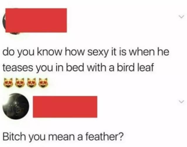 Not Very Smart, Indeed