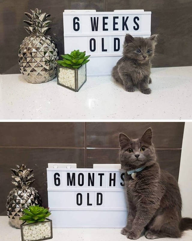 Time Just Won’t Stop!
