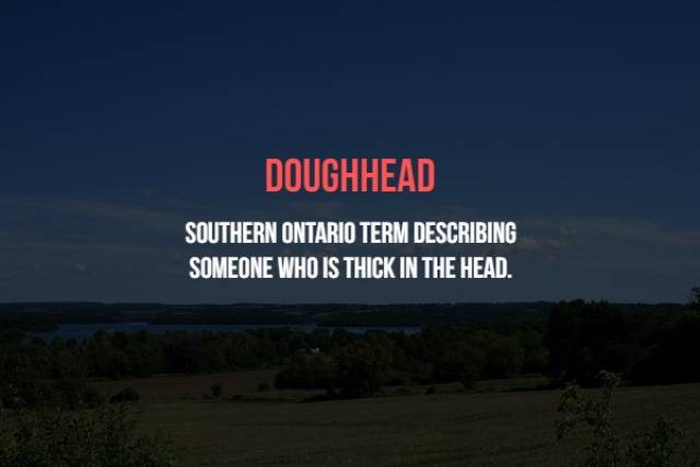Canadian Insults Which They Never Use Anyway