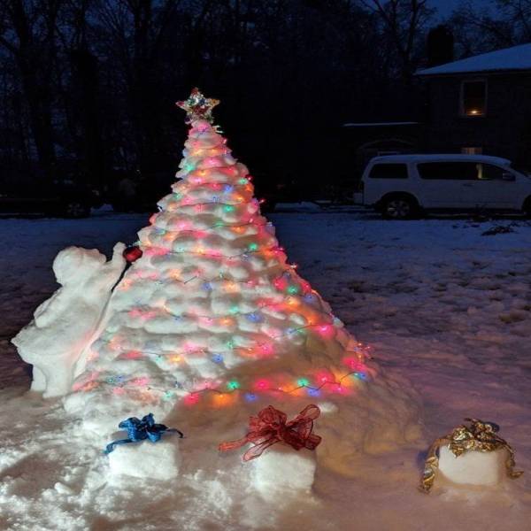 Daily Picdump
