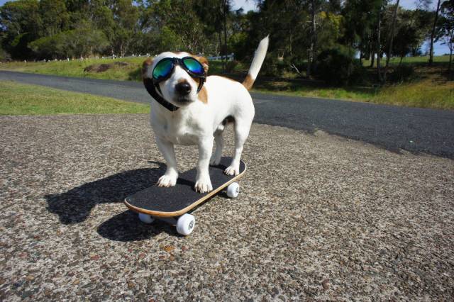 Daily Picdump
