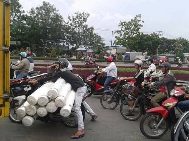 Daily Picdump
