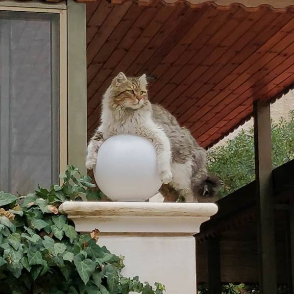 Daily Picdump