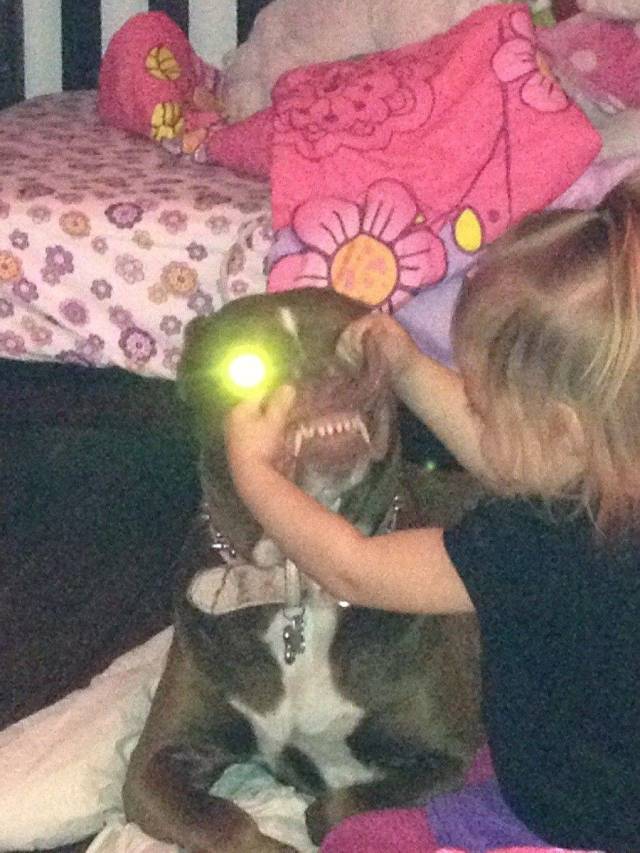 Daily Picdump