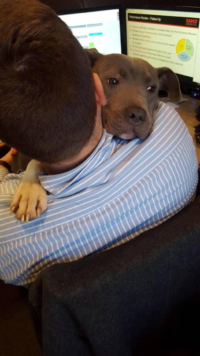 Daily Picdump