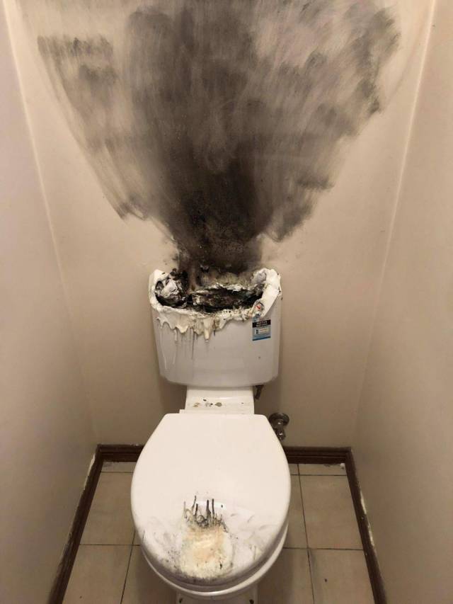 Daily Picdump