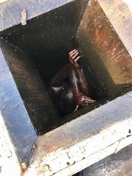 A Wannabe Burglar Was Stuck In A Restaurant Grease Vent For 2 Days