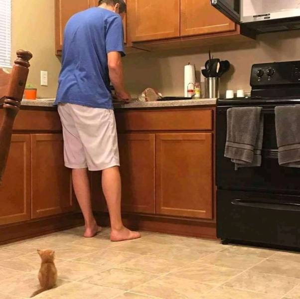 Daily Picdump