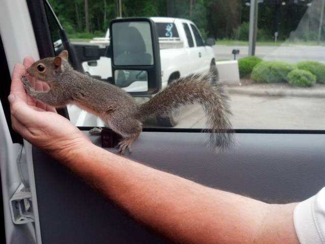 Daily Picdump