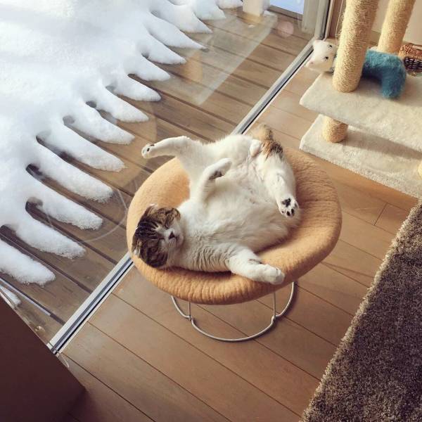 Daily Picdump