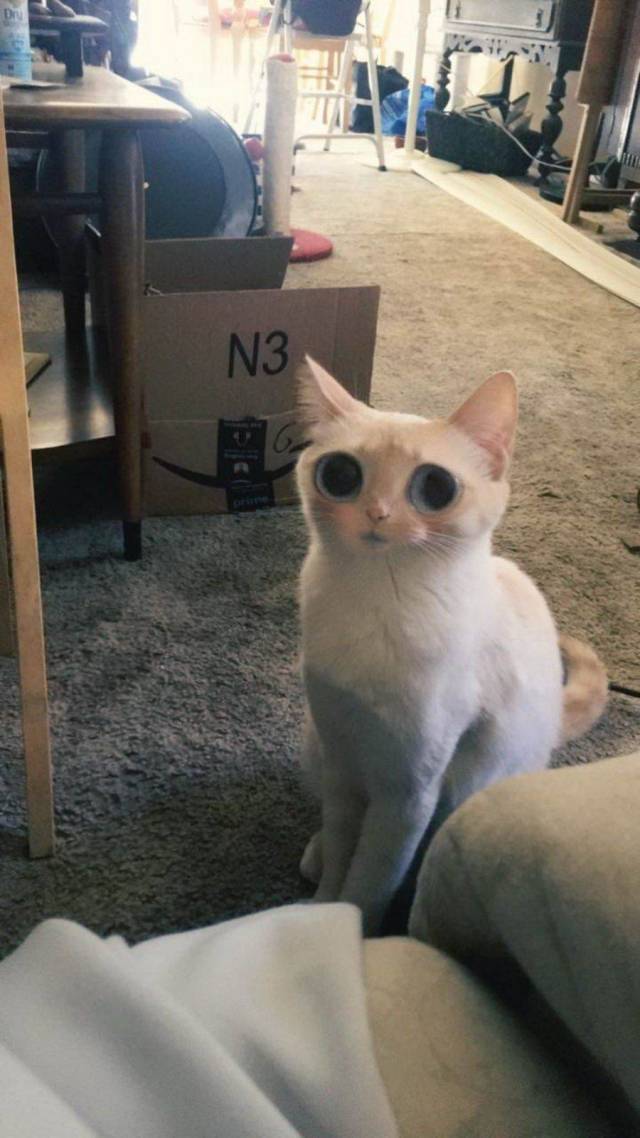 Daily Picdump