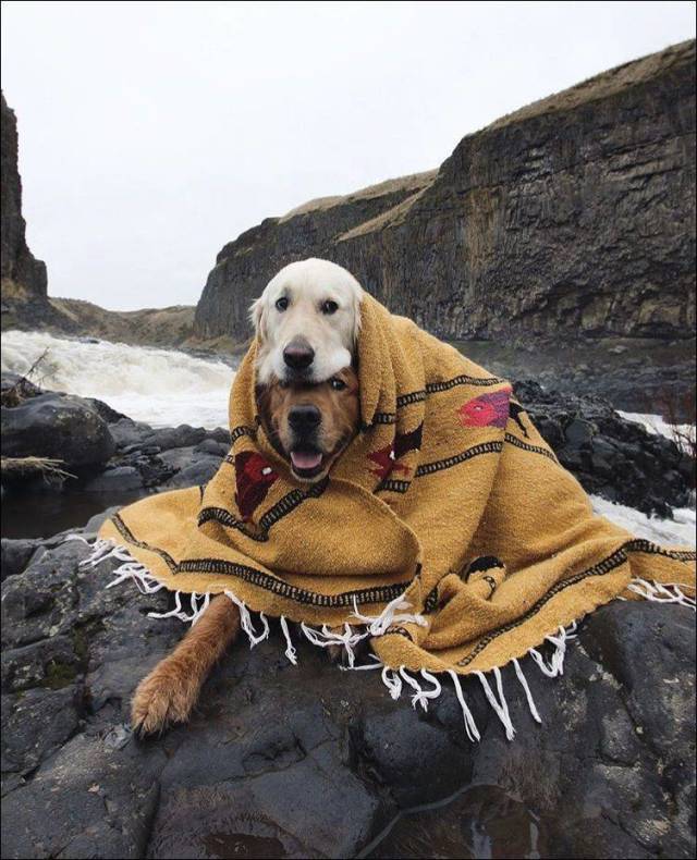 Daily Picdump