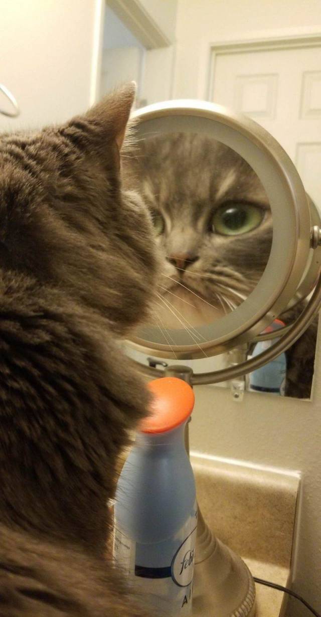 Daily Picdump