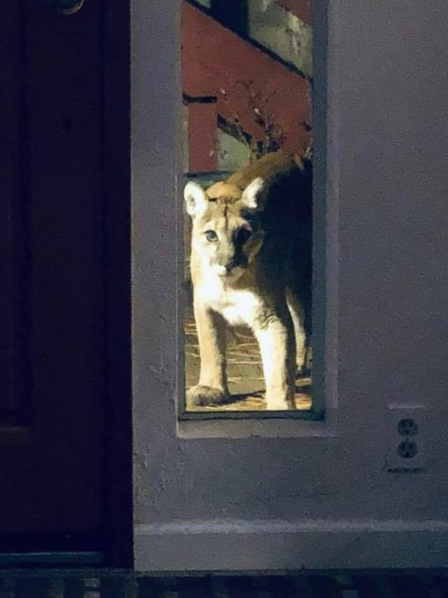 Daily Picdump