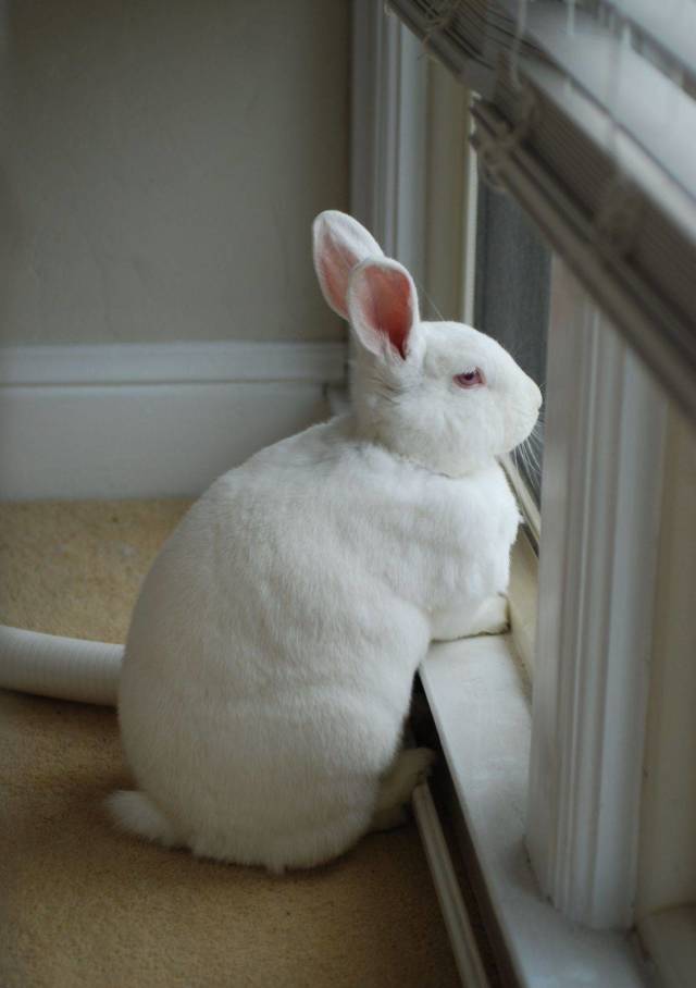 Daily Picdump