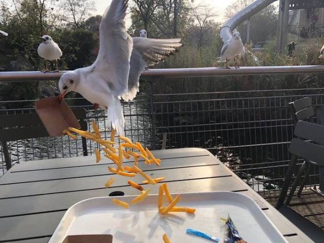 There Was No Better Moment For These Photos