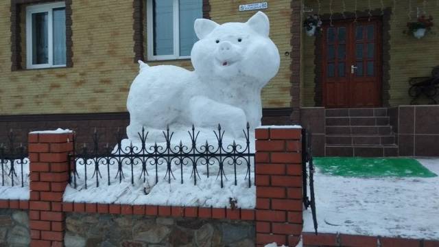 Daily Picdump
