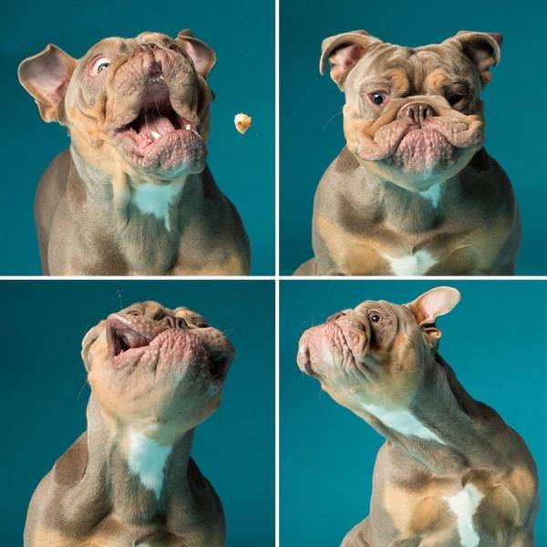 Daily Picdump