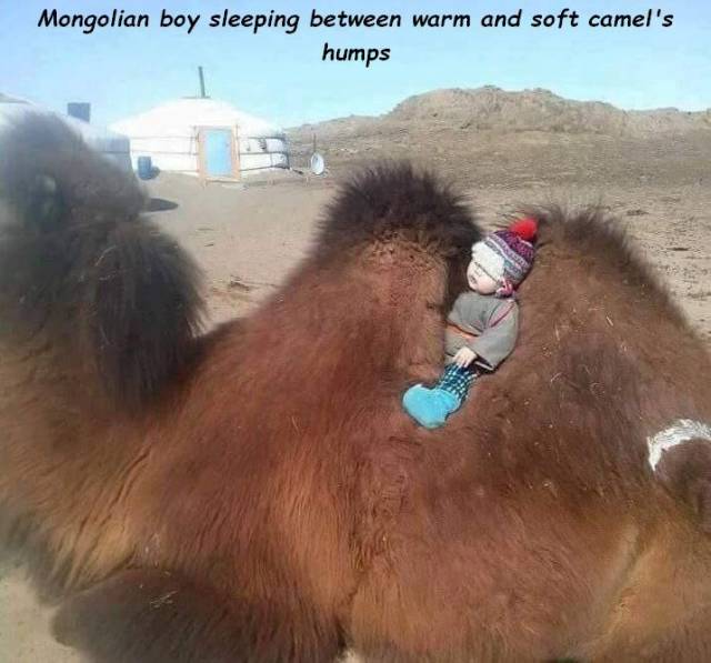 Daily Picdump