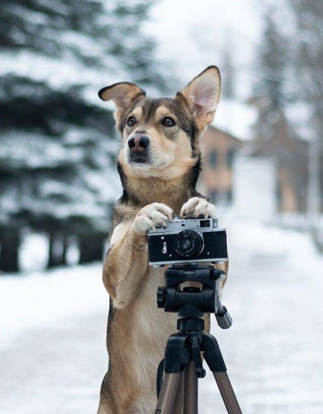 Daily Picdump