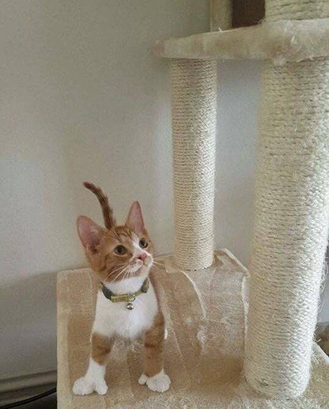 Daily Picdump