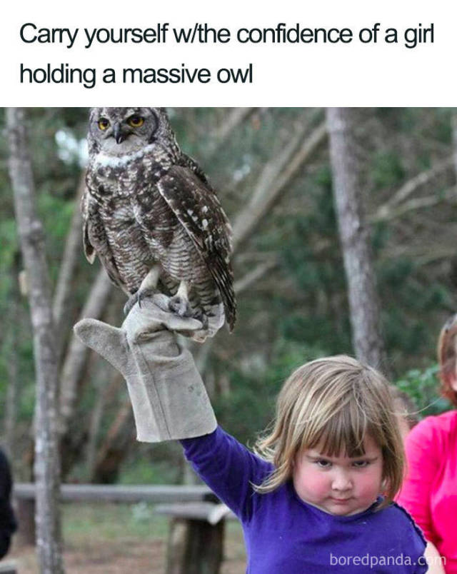 These Memes Aren’t For Sexists, No. They Are Only For Feminists