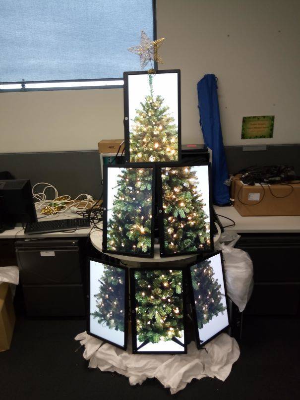 Christmas Trees Shouldn’t All Look The Same!