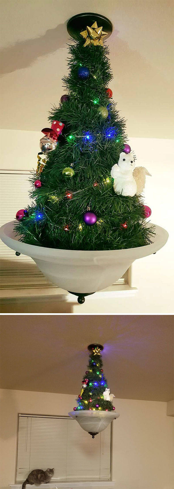 Christmas Trees Shouldn’t All Look The Same!