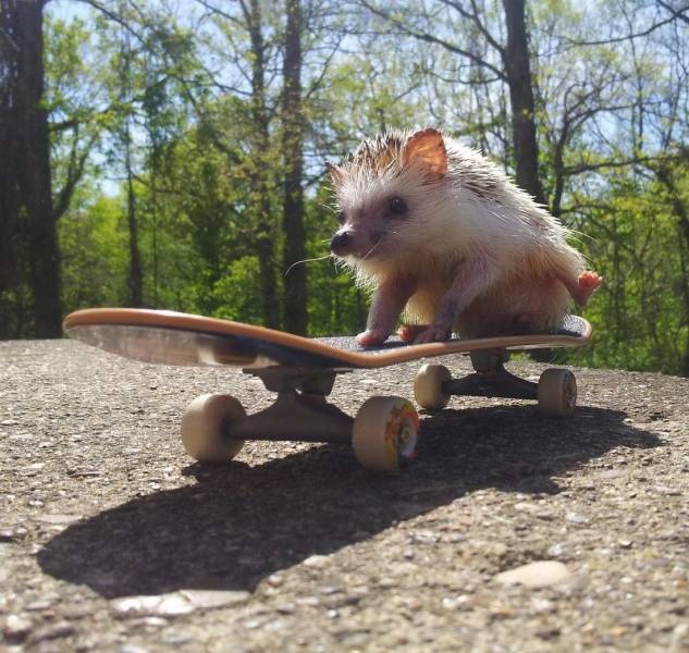 Daily Picdump