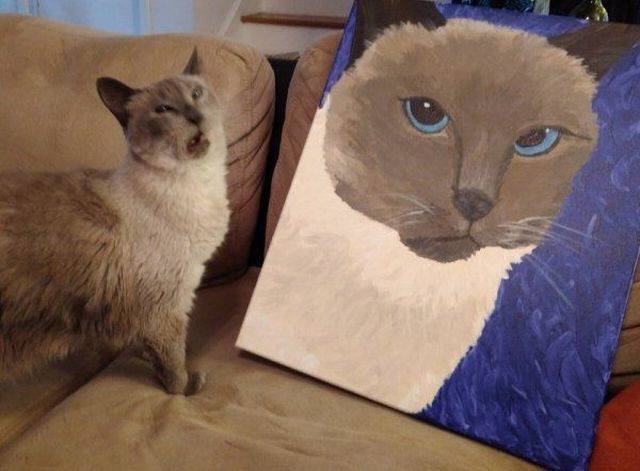 Daily Picdump