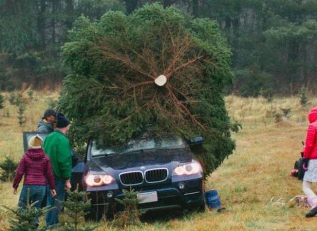 Daily Picdump