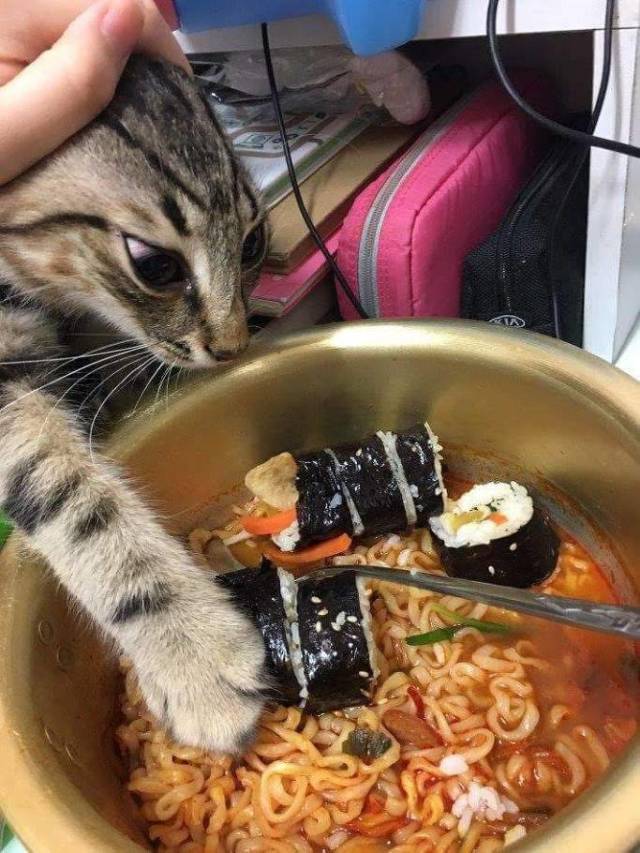 Daily Picdump