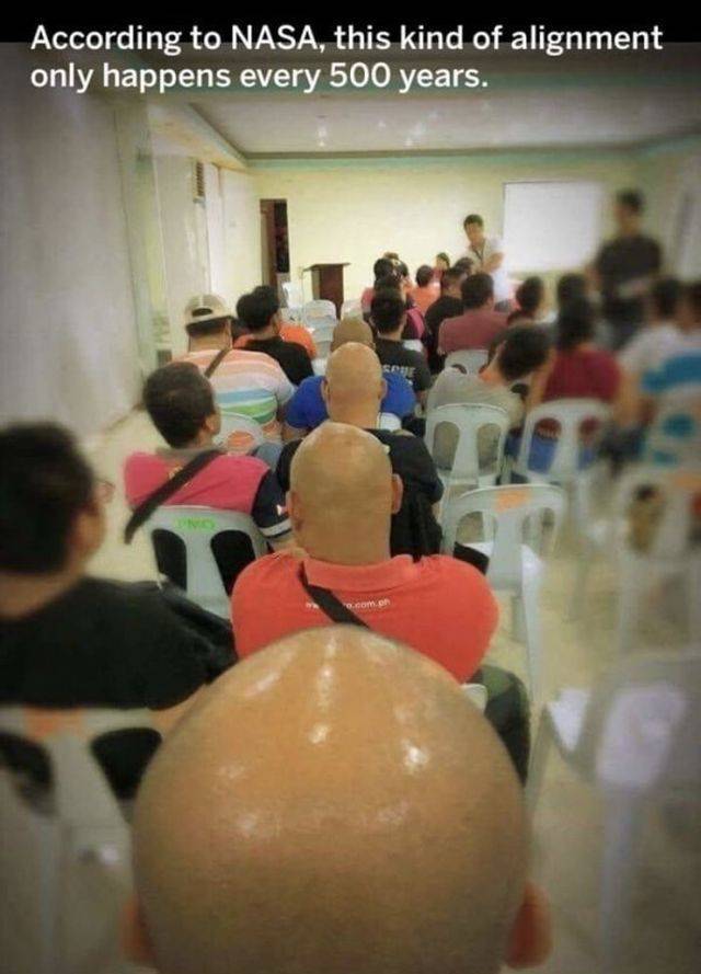 Daily Picdump