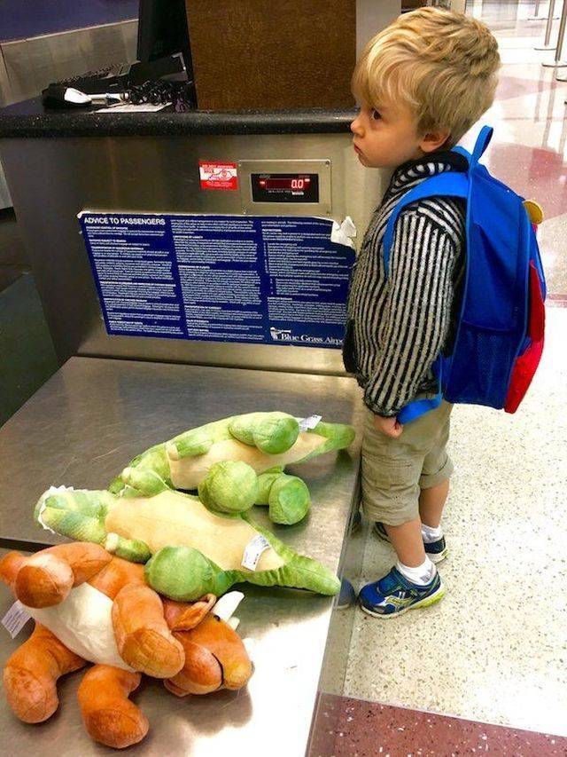 Daily Picdump