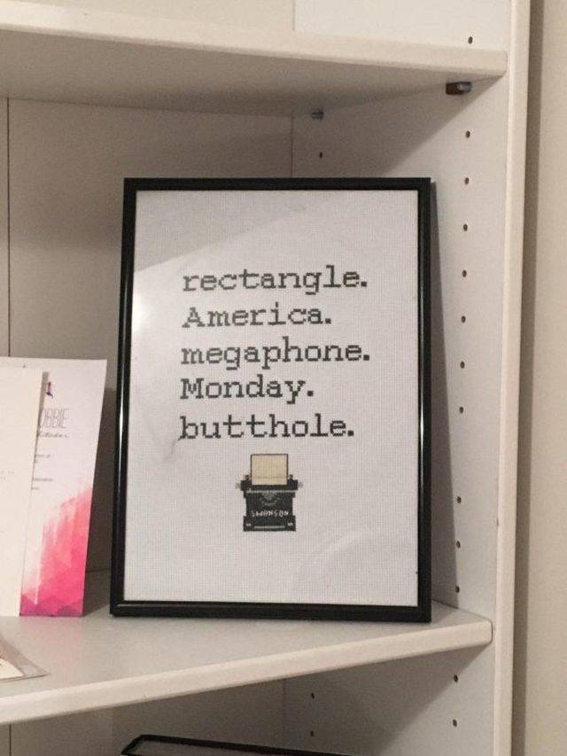 Daily Picdump