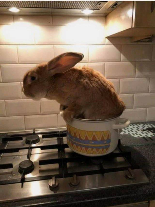 Daily Picdump