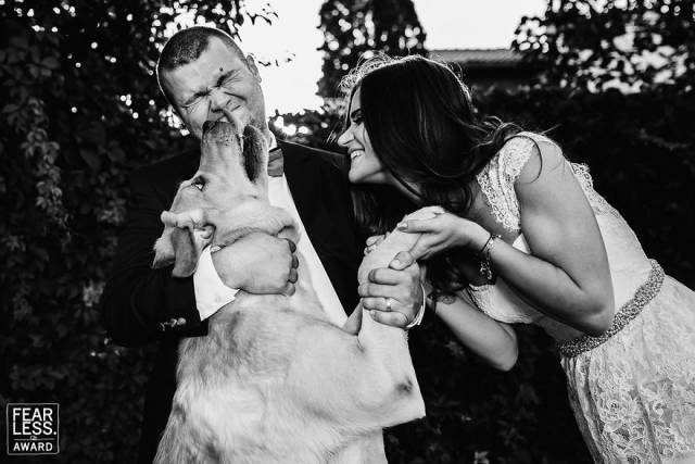 The Best Wedding Photos Of 2018 Show Why You Always Need A Good Photographer At Weddings